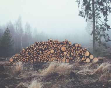 Wooden Logs