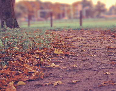 Autumn in Park